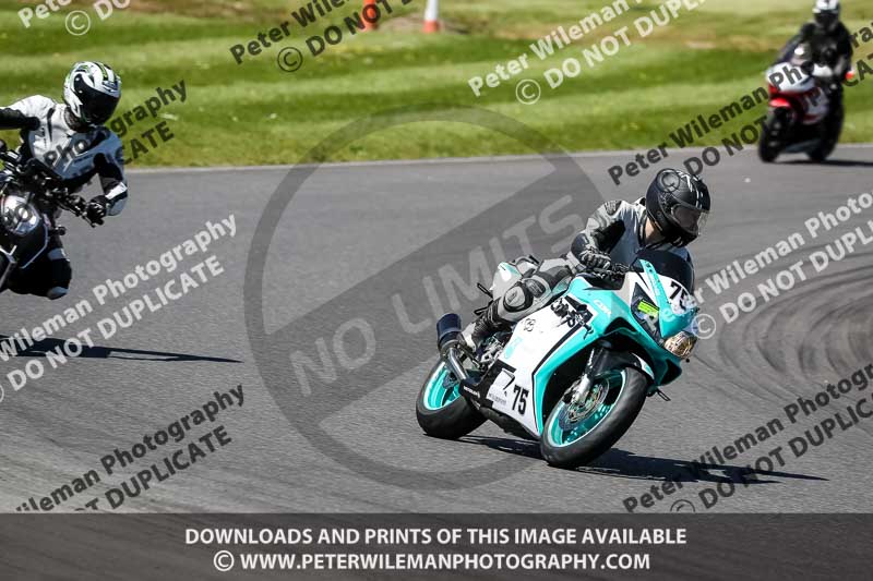 enduro digital images;event digital images;eventdigitalimages;lydden hill;lydden no limits trackday;lydden photographs;lydden trackday photographs;no limits trackdays;peter wileman photography;racing digital images;trackday digital images;trackday photos